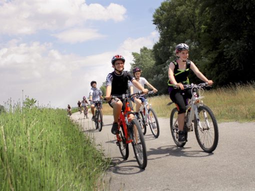 19400292-235721876932458-8906045668431185851-o-235721876932458