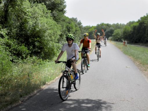 19400618-235722010265778-5208118116890644122-o-235722010265778