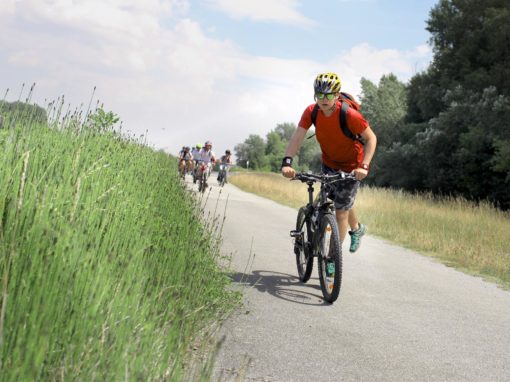 19417331-235721823599130-6205202742976461992-o-235721823599130