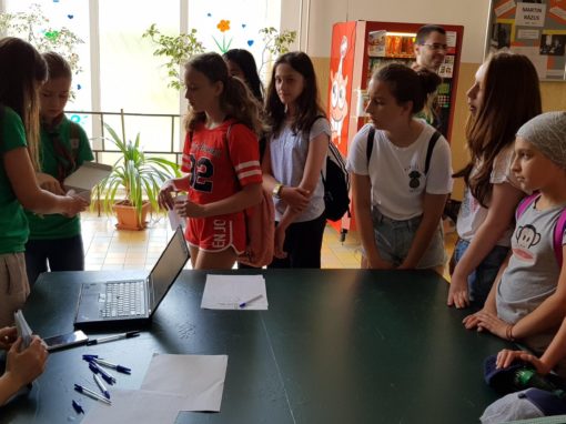 34344296-381321589039152-4814818953413001216-o-381321579039153