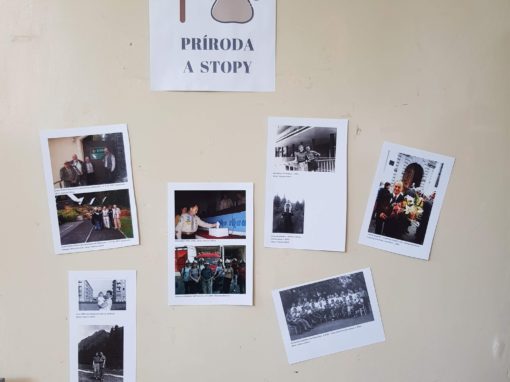 34396822-381320819039229-546446219463884800-o-381320795705898