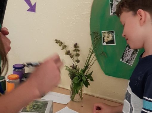 34473278-381321129039198-7081778983745880064-o-381321115705866