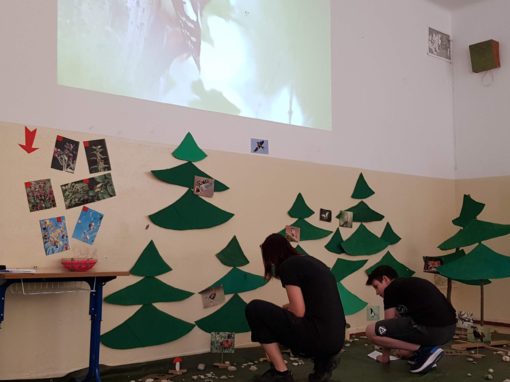 34502250-381321175705860-7321513393804804096-o-381321169039194