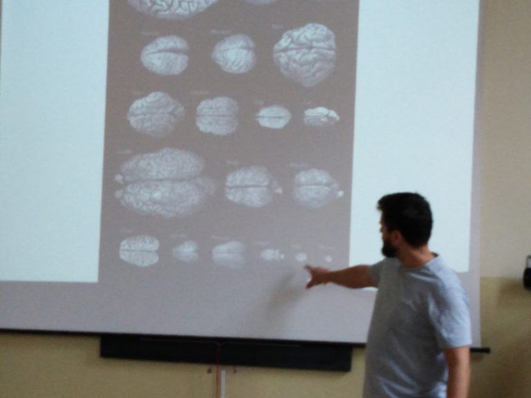 Inteligencia zvierat – prírodovedná prednáška