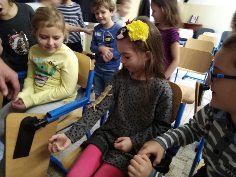 Inteligencia zvierat – prírodovedná prednáška