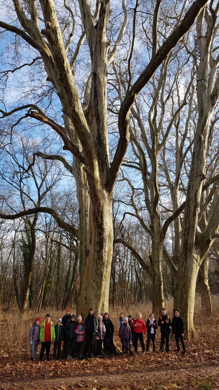 Turistický krúžok – Z Rusoviec k Trojmedziu
