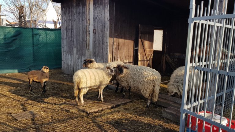 Turistický krúžok – Z Rusoviec k Trojmedziu