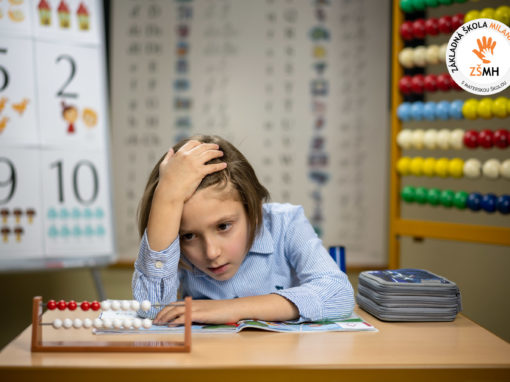 zsmh-prvaci-2020-073