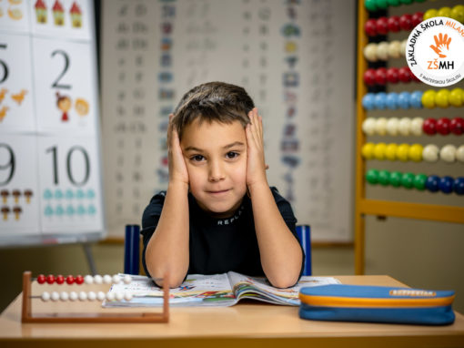 zsmh-prvaci-2020-172