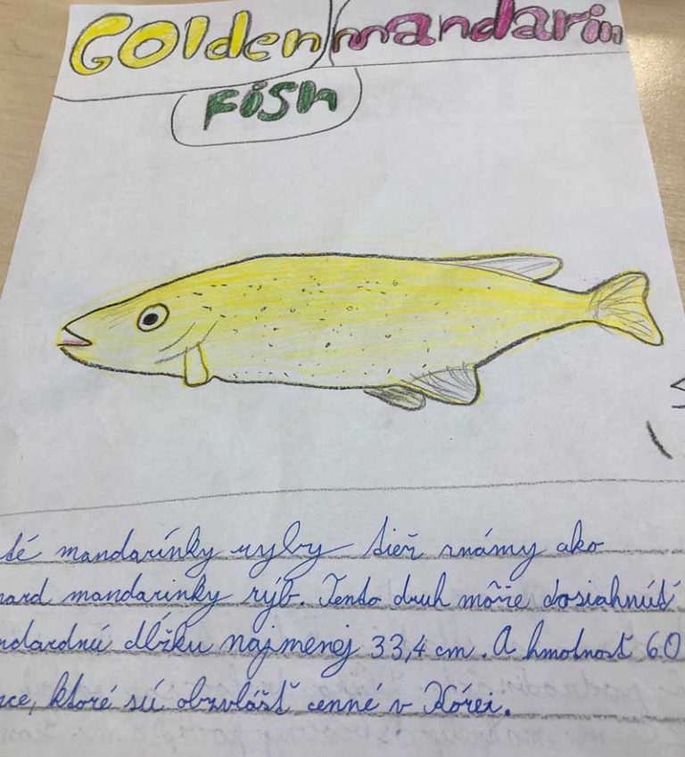 Ryby, rybky, rybičky