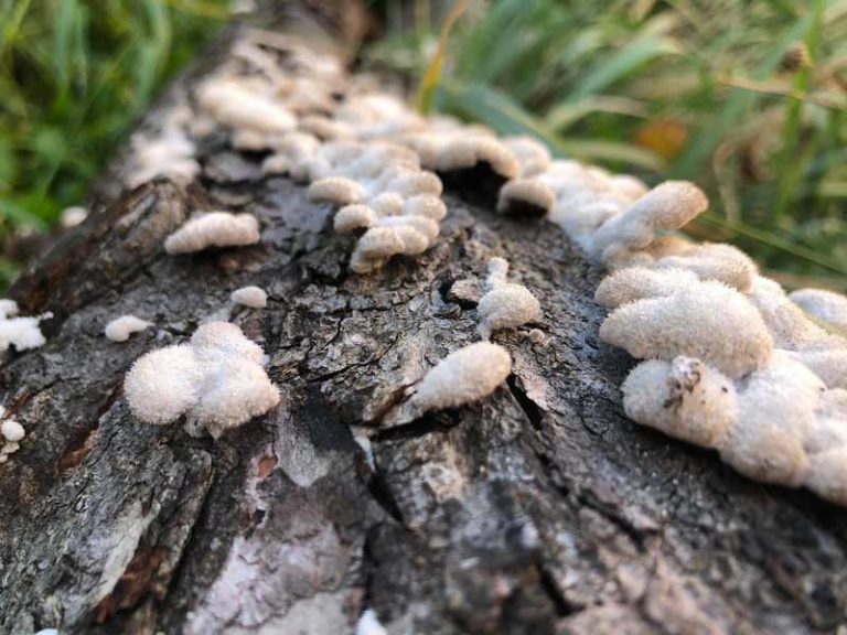 Fotografický workshop