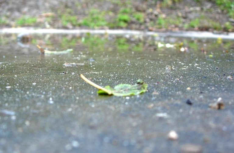 Fotografický workshop