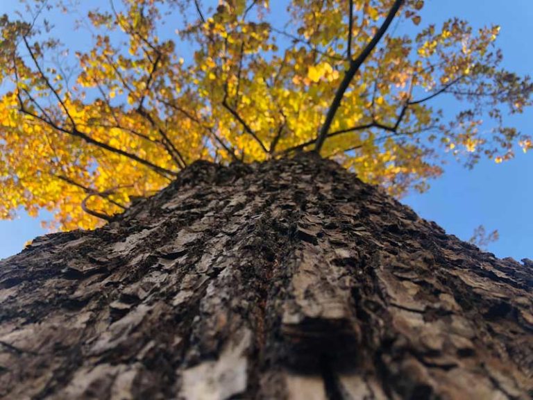 Fotografický workshop