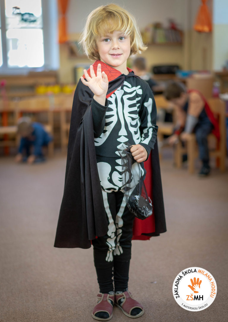 Karneval v materskej škole