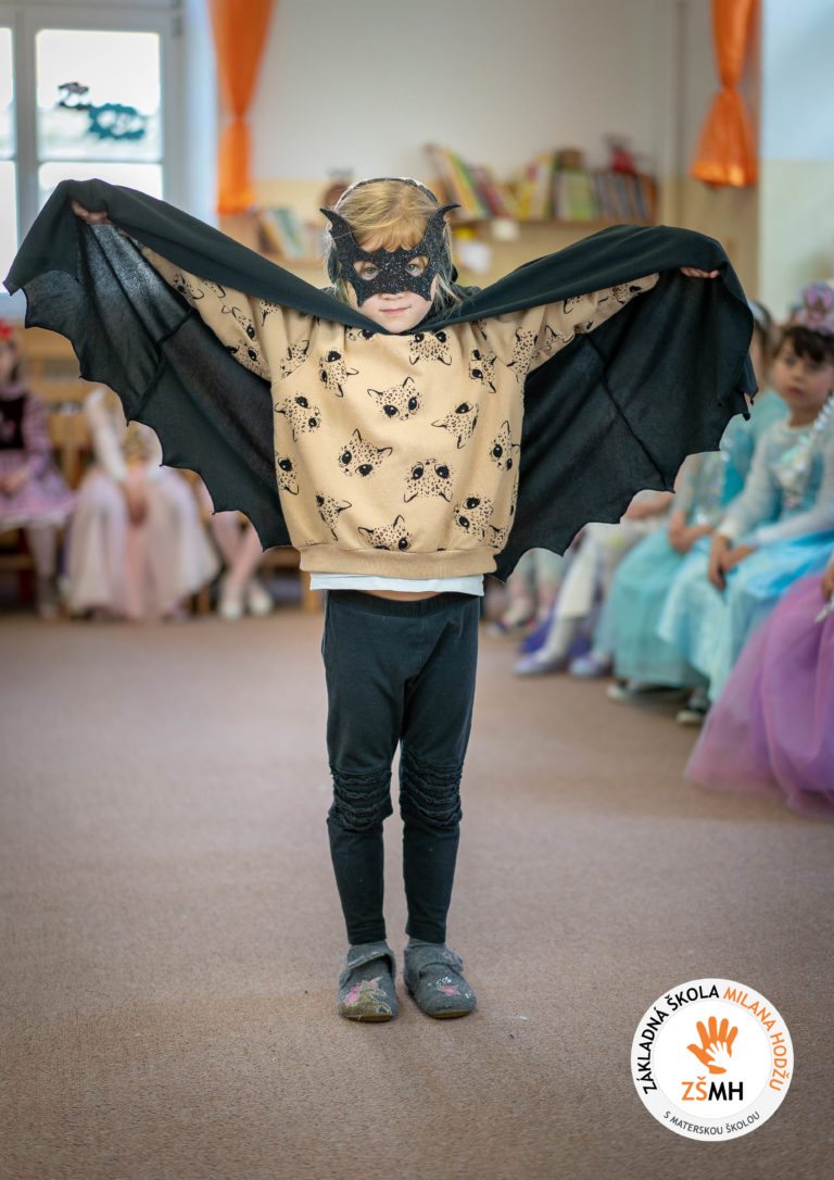 Karneval v materskej škole