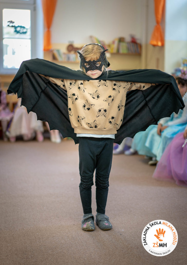 Karneval v materskej škole