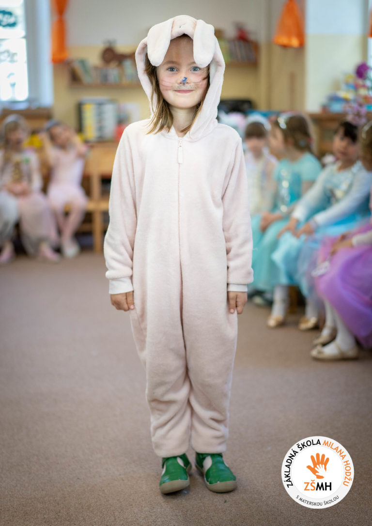 Karneval v materskej škole