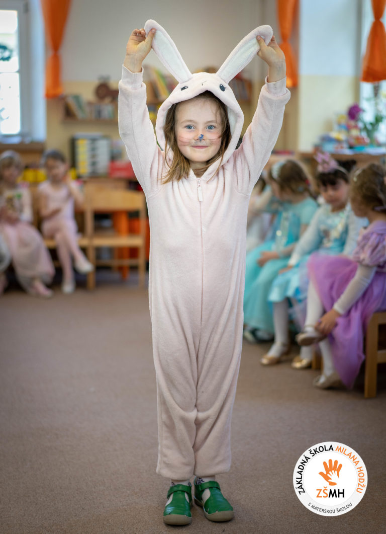 Karneval v materskej škole