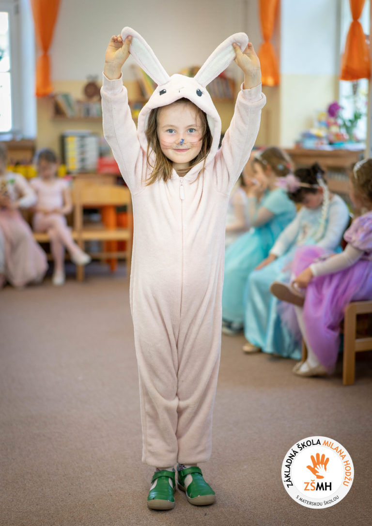Karneval v materskej škole