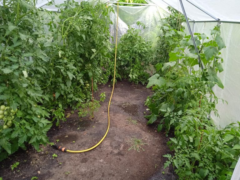 Školský fóliovník – projekt Deti pre Bratislavu