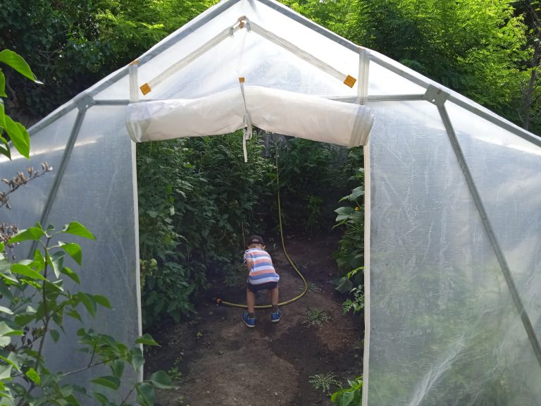 Školský fóliovník – projekt Deti pre Bratislavu