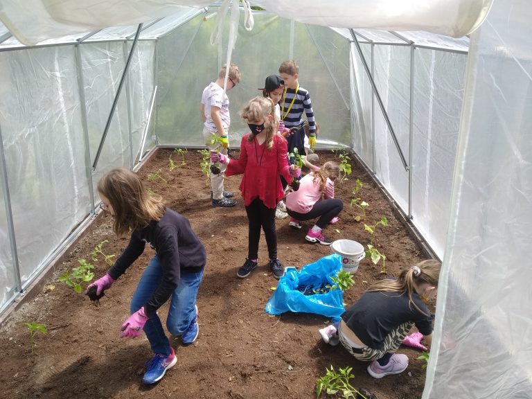 Školský fóliovník – projekt Deti pre Bratislavu