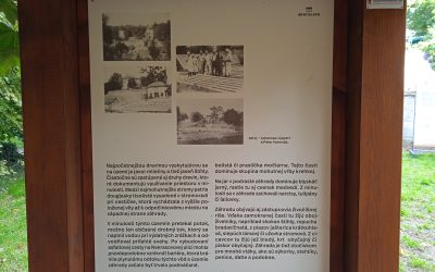 Prüger-Wallnerova záhrada