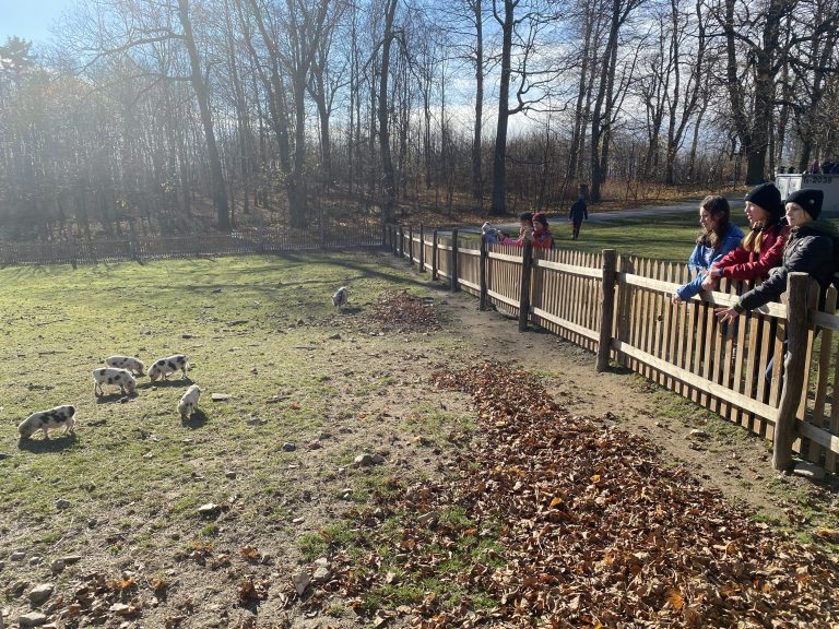 S turistickým krúžkom zo Svätého Jura na hrad Biely Kameň a Sakrakopec