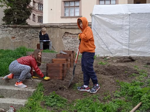 IMG_20220407_103337_1