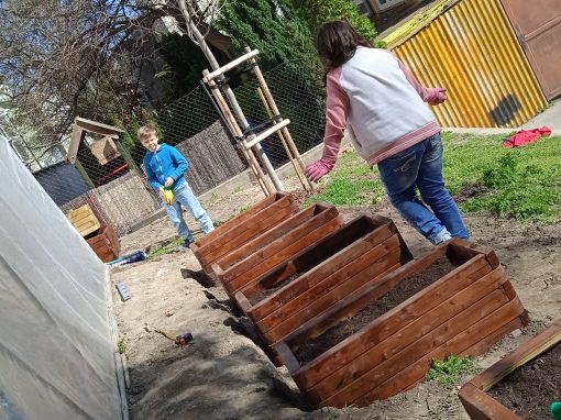 IMG_20220407_152918_1