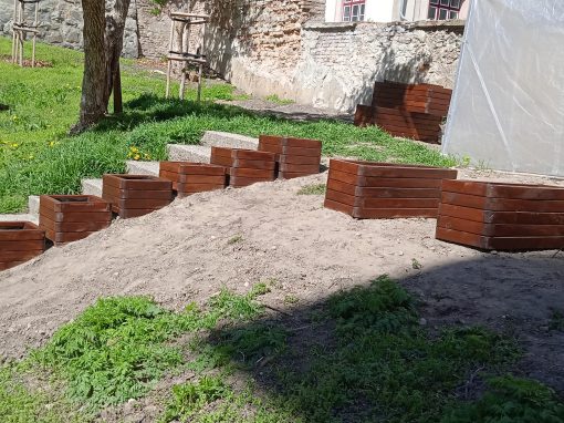 IMG_20220412_121613_1