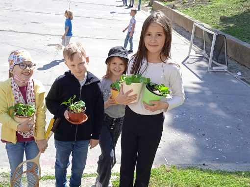 IMG_20220421_144906_1