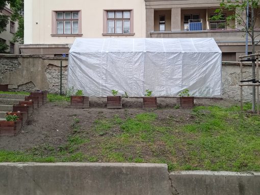 IMG_20220506_144333_1