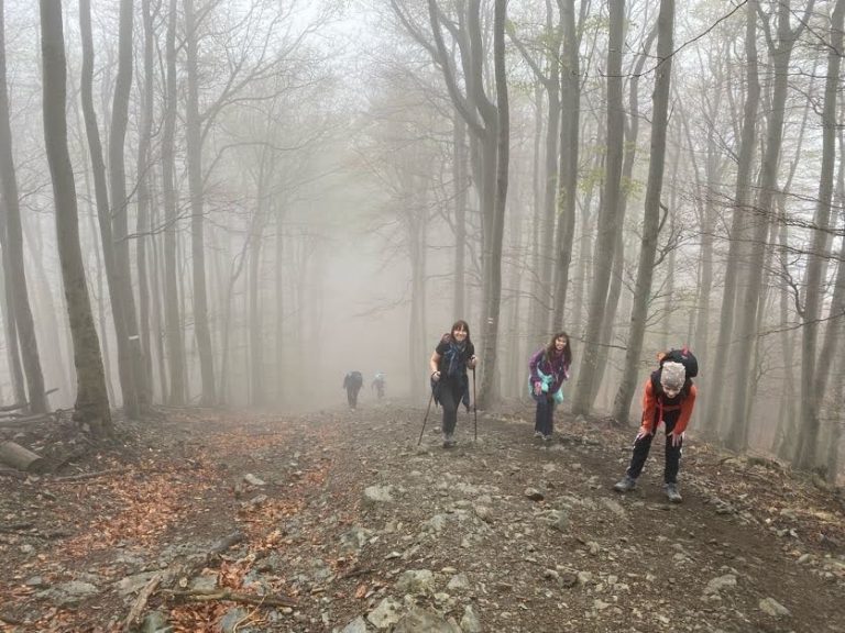 S turistickým krúžkom na päť malokarpatských sedemstoviek