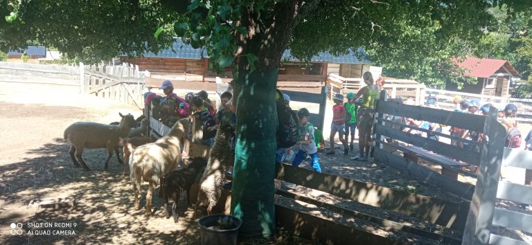 MiniFARMA Lubina – prváci na výlete