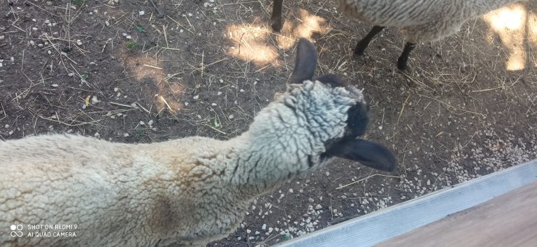 MiniFARMA Lubina – prváci na výlete