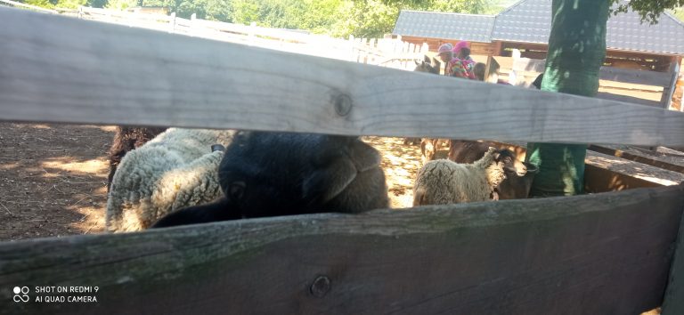 MiniFARMA Lubina – prváci na výlete