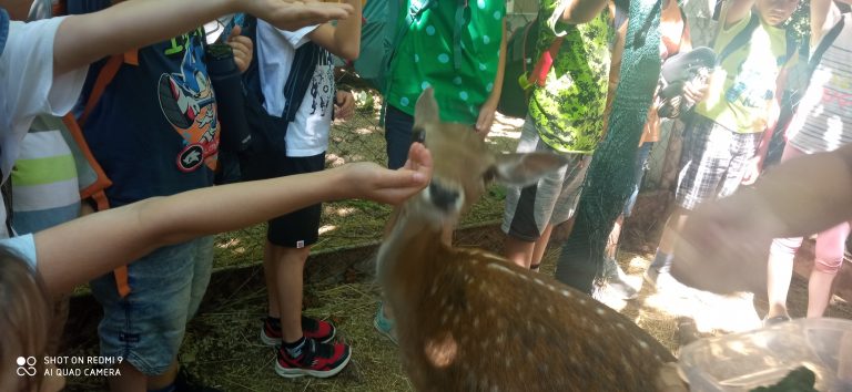 MiniFARMA Lubina – prváci na výlete