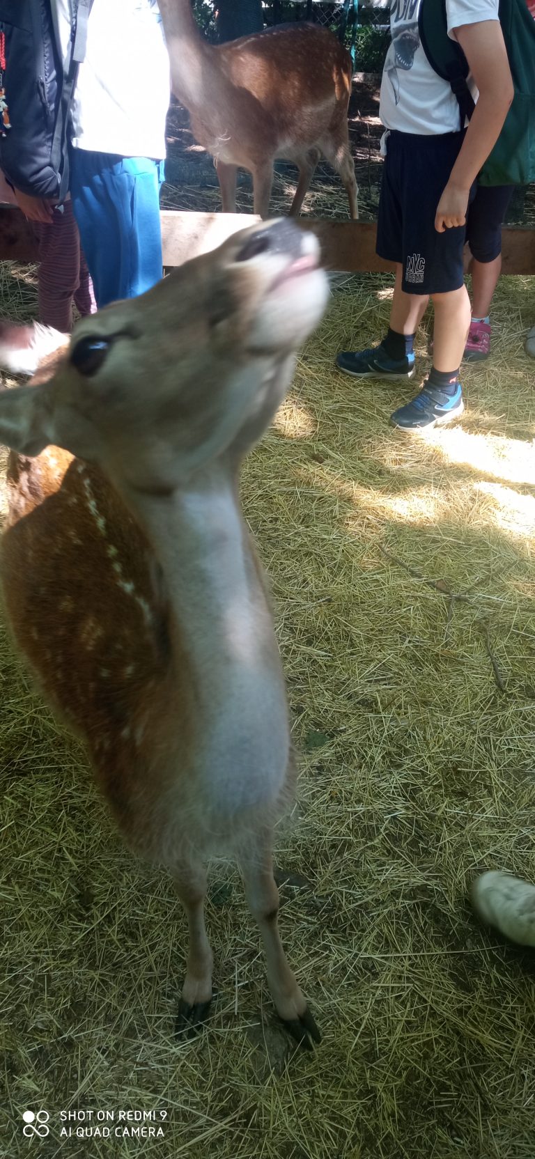 MiniFARMA Lubina – prváci na výlete