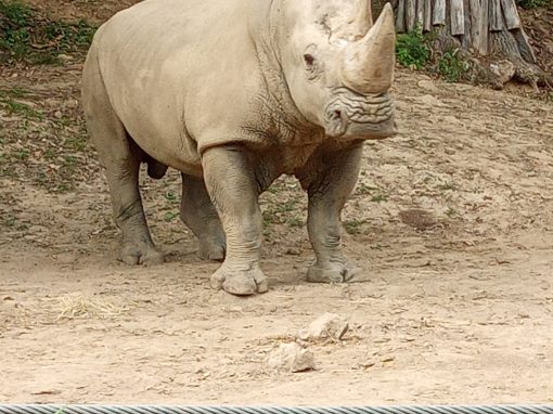 IMG_20220613_150849_9