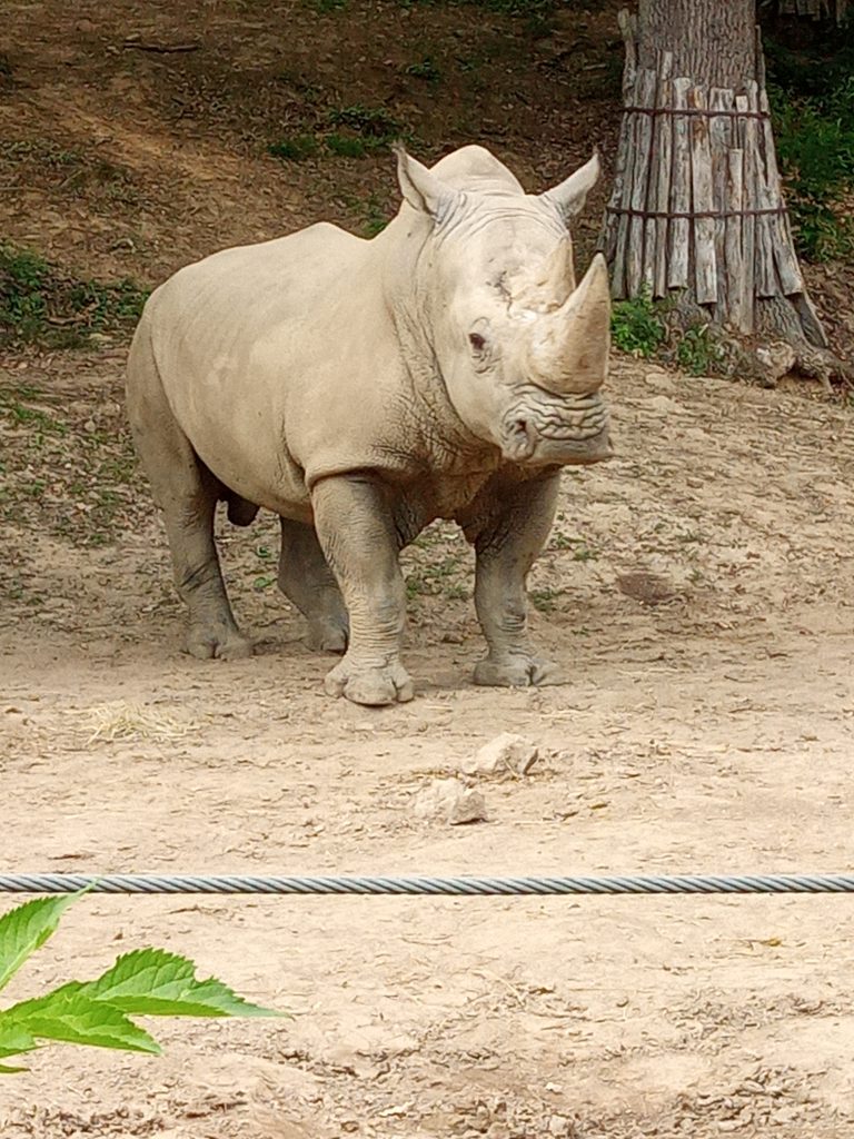 Koncoročný výlet siedmakov