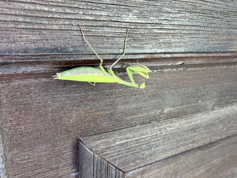 Exkurzia vo Hvezdárni v Hlohovci