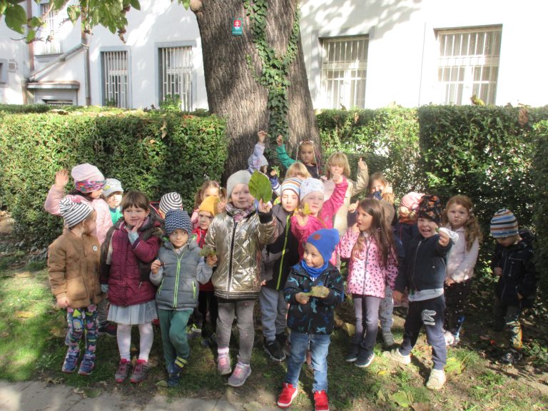 Spoznávame chránené stromy Starého Mesta