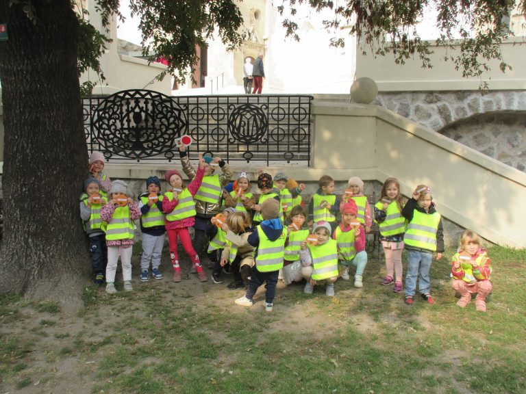 Spoznávame chránené stromy Starého Mesta