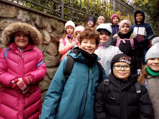 IMG_20221123_084544_697