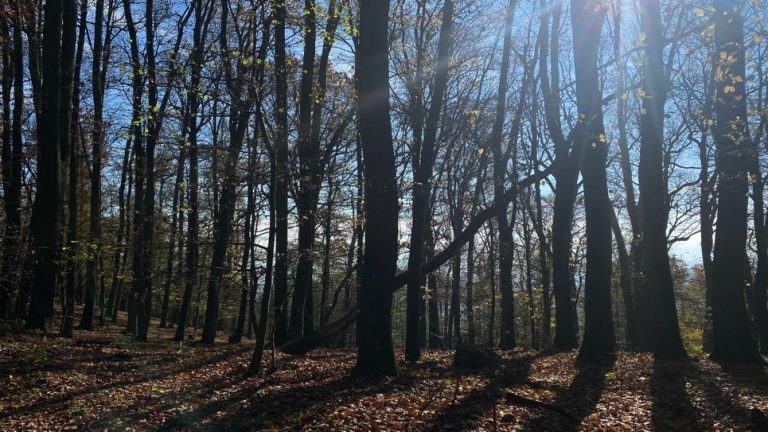 S turistickým krúžkom z Dubovej cez vrch Kukla do Modry