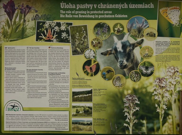 S turistickým krúžkom z Devína do Schloss Hofu alebo Vianoce na zámku