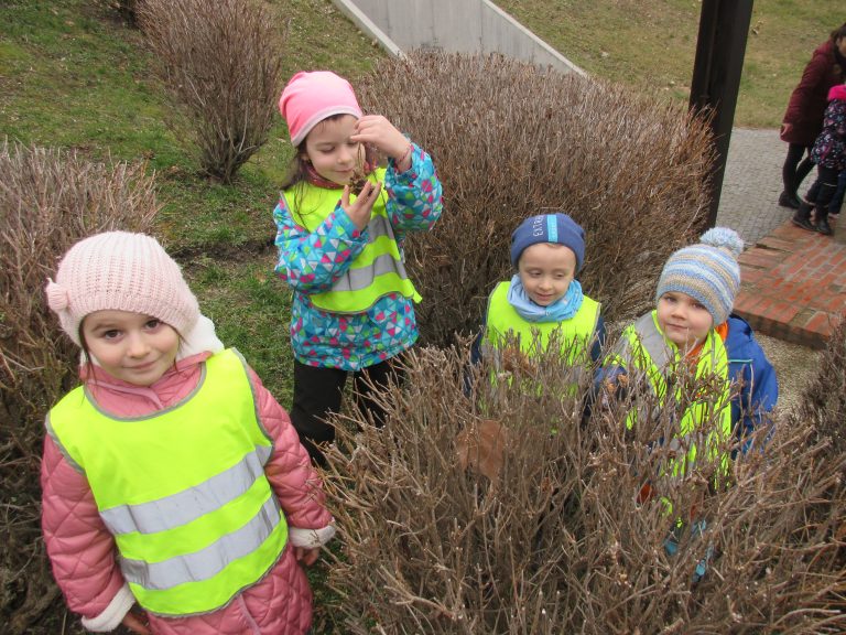 Prikrmovanie vtáčikov počas zimy na Bratislavskom hrade