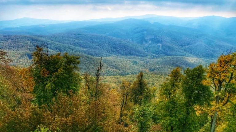 S turistickým krúžkom za najkrajším výhľadom v Malých Karpatoch. Malokarpatská sedemstovka Vysoká