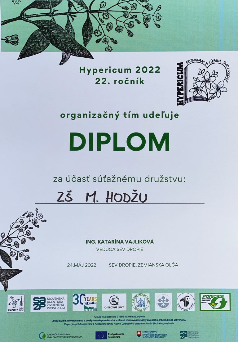 Hypericum 2022